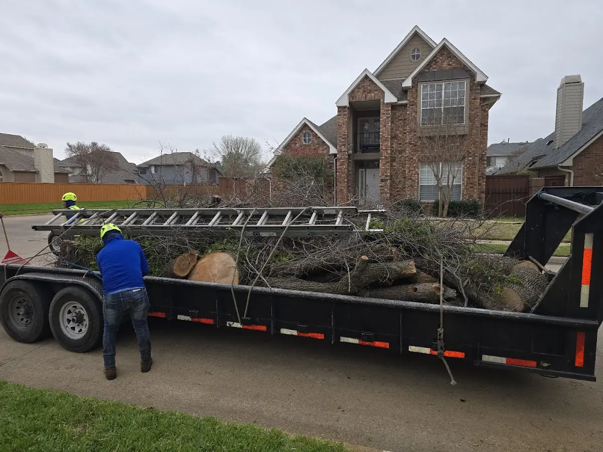 Expert Lot Clearing with proper safety equipment in Stanhope